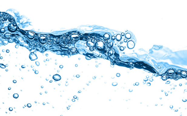 我们的服务领域